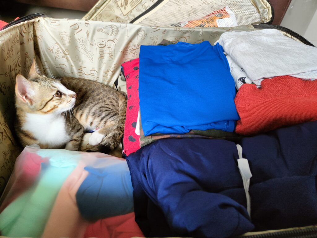 Solo travel