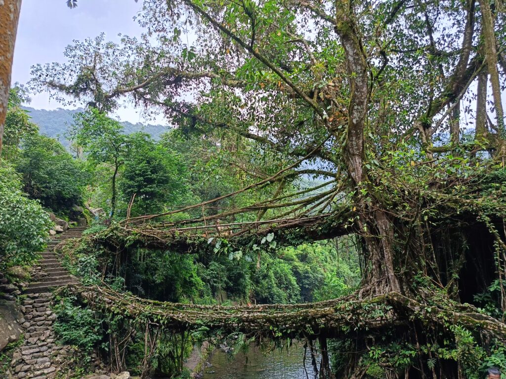 Travel Blogs